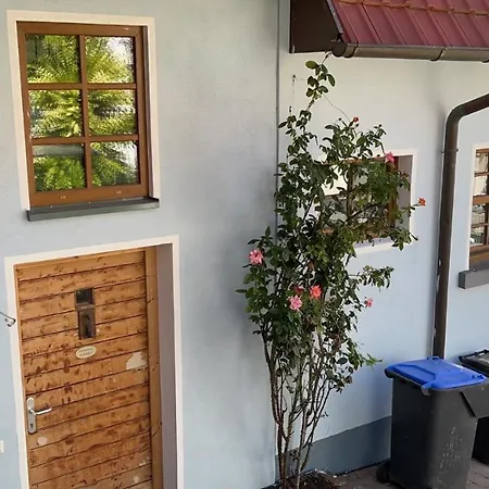 Ferienwohnung Im Bueckle Gottenheim Exterior foto